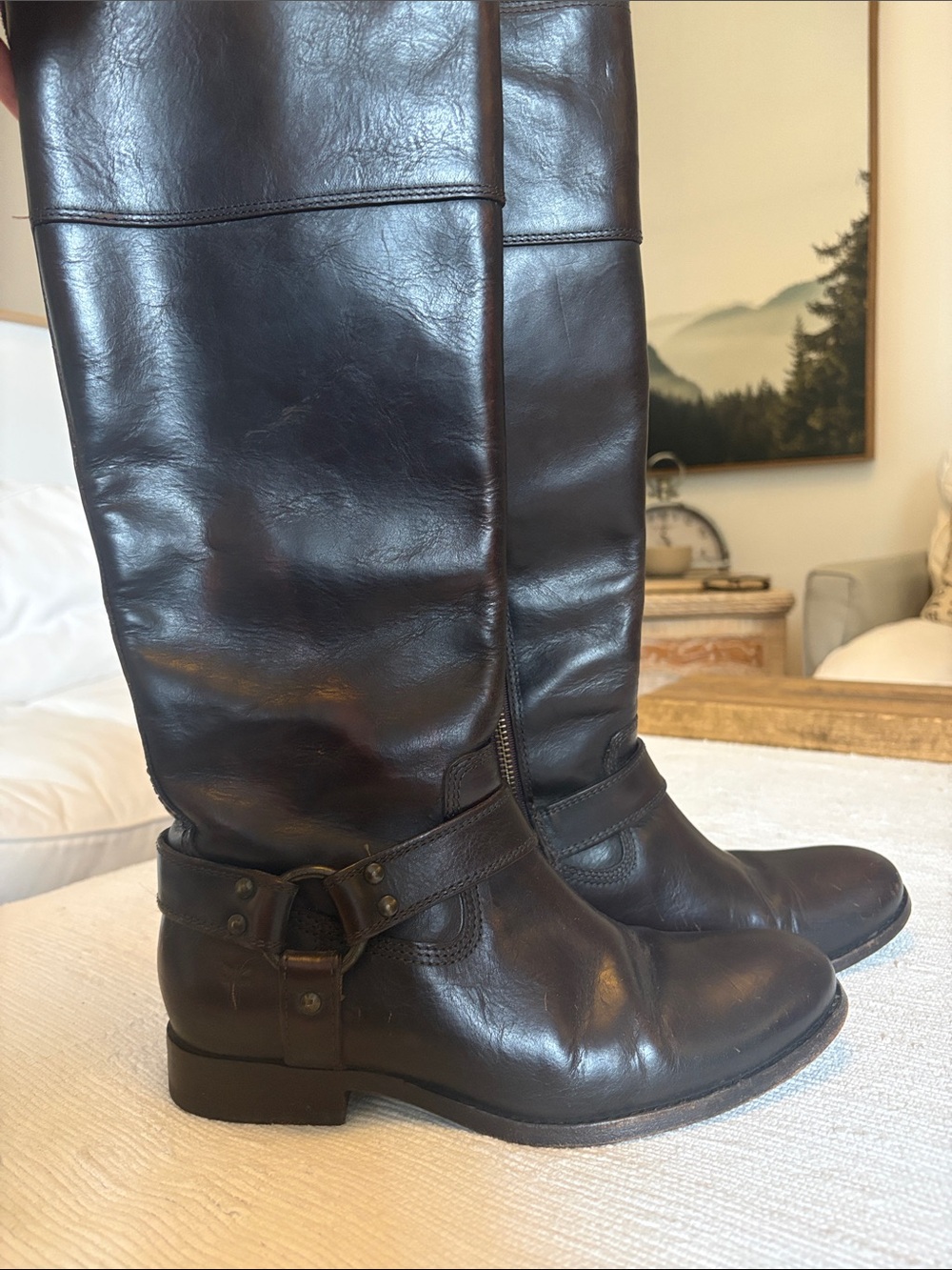 NWOT FRYE MELISSA HARNESS RIDING BOOTS